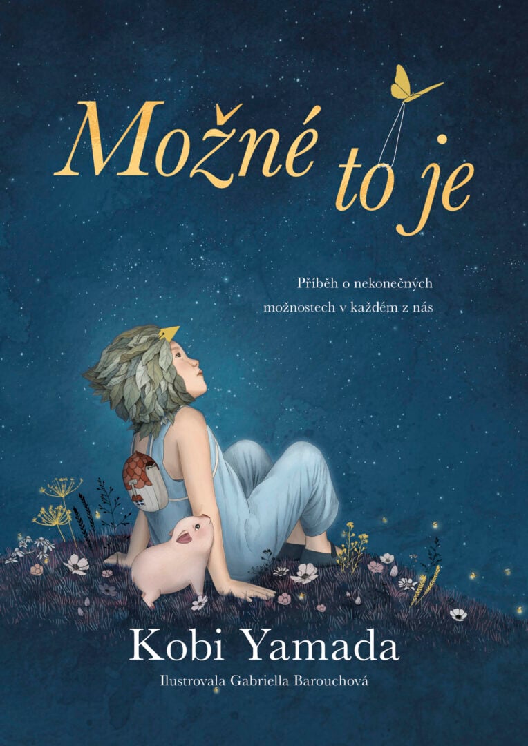 Možné to je – obálka knihy