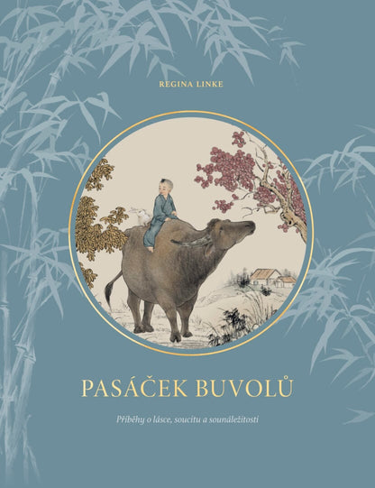 Pasáček buvolů – obálka knihy