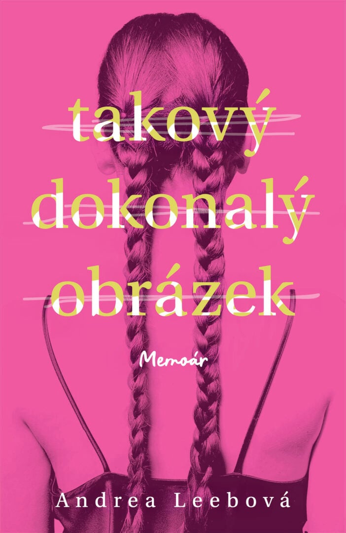 Takový dokonalý obrázek – obálka knihy